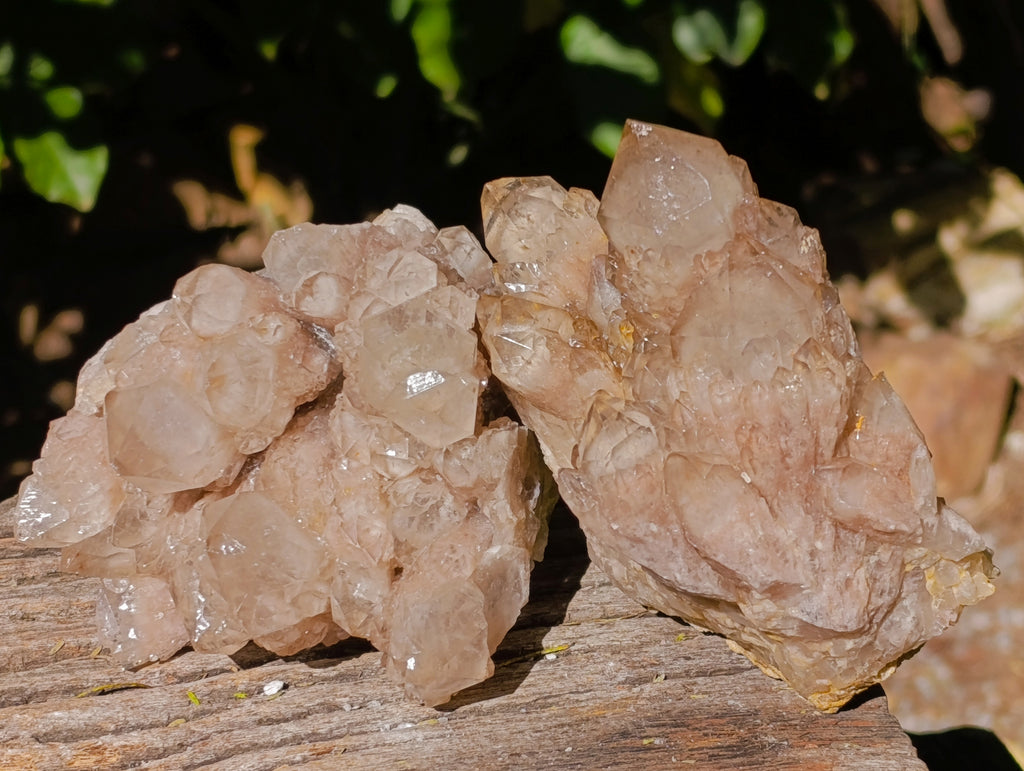 Natural Smokey Phantom Quartz Cluster x 2 From Luena, Congo - Toprock Gemstones and Minerals 