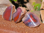 Polished On One Side Red Sashe River Agate Nodules x 20 From Zimbabwe - Toprock Gemstones and Minerals 