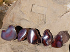 Polished On One Side Red Sashe River Agate Nodules x 20 From Zimbabwe - Toprock Gemstones and Minerals 