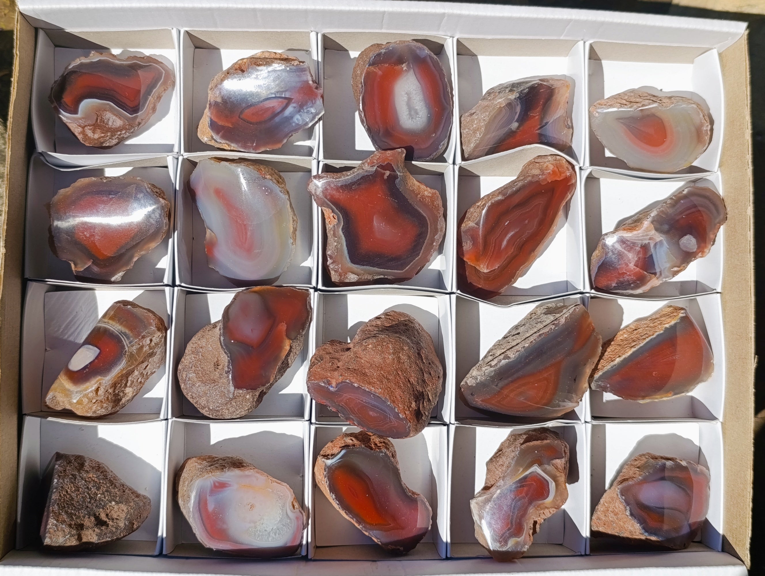 Polished On One Side Red Sashe River Agate Nodules x 20 From Zimbabwe - Toprock Gemstones and Minerals 