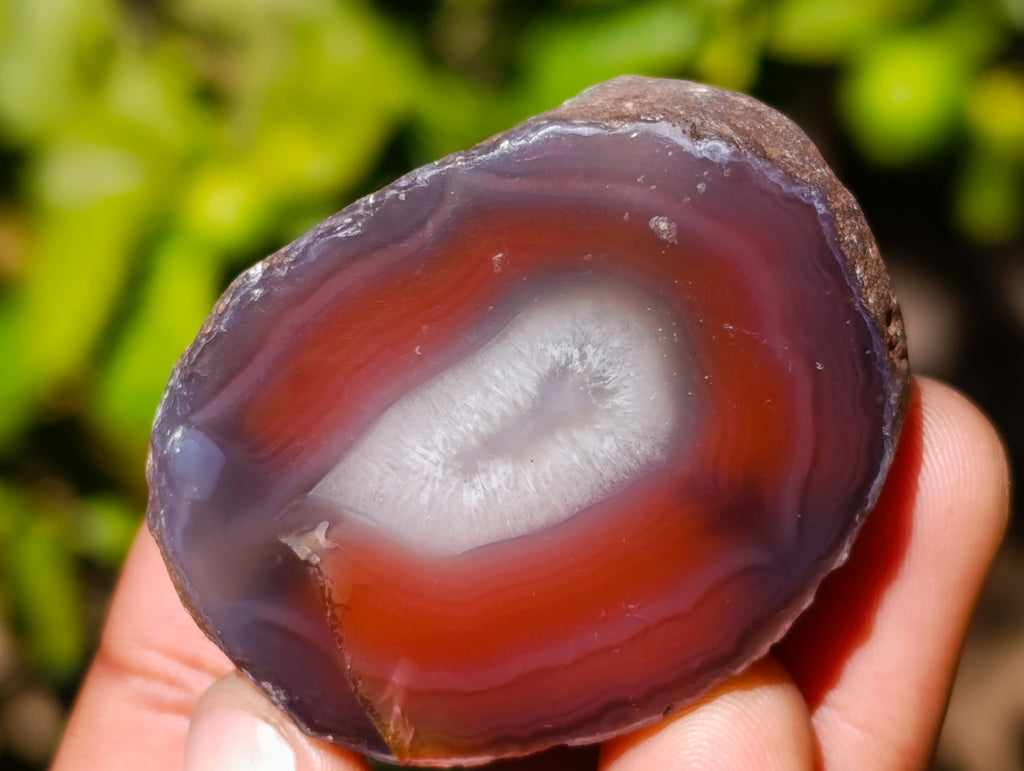 Polished On One Side Red Sashe River Agate Nodules x 20 From Zimbabwe - Toprock Gemstones and Minerals 