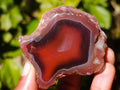 Polished On One Side Red Sashe River Agate Nodules x 20 From Zimbabwe - Toprock Gemstones and Minerals 