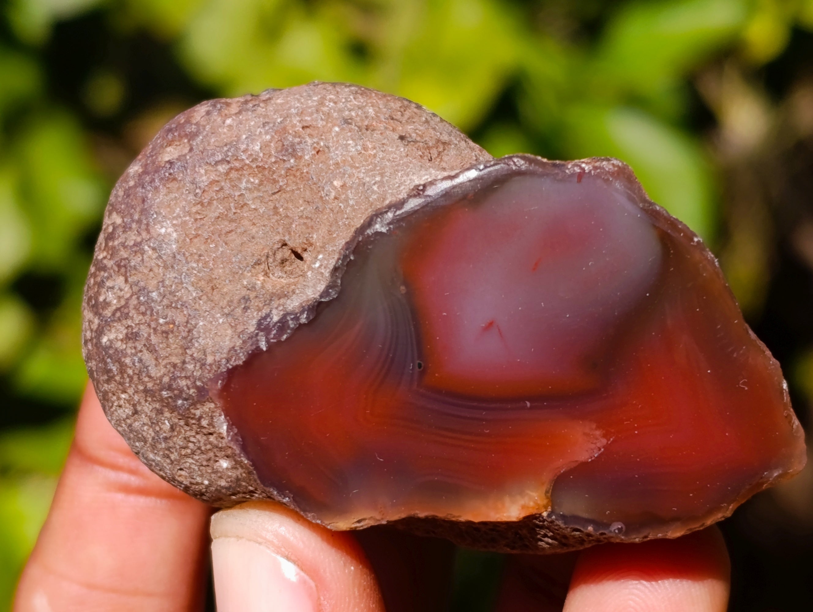 Polished On One Side Red Sashe River Agate Nodules x 20 From Zimbabwe - Toprock Gemstones and Minerals 