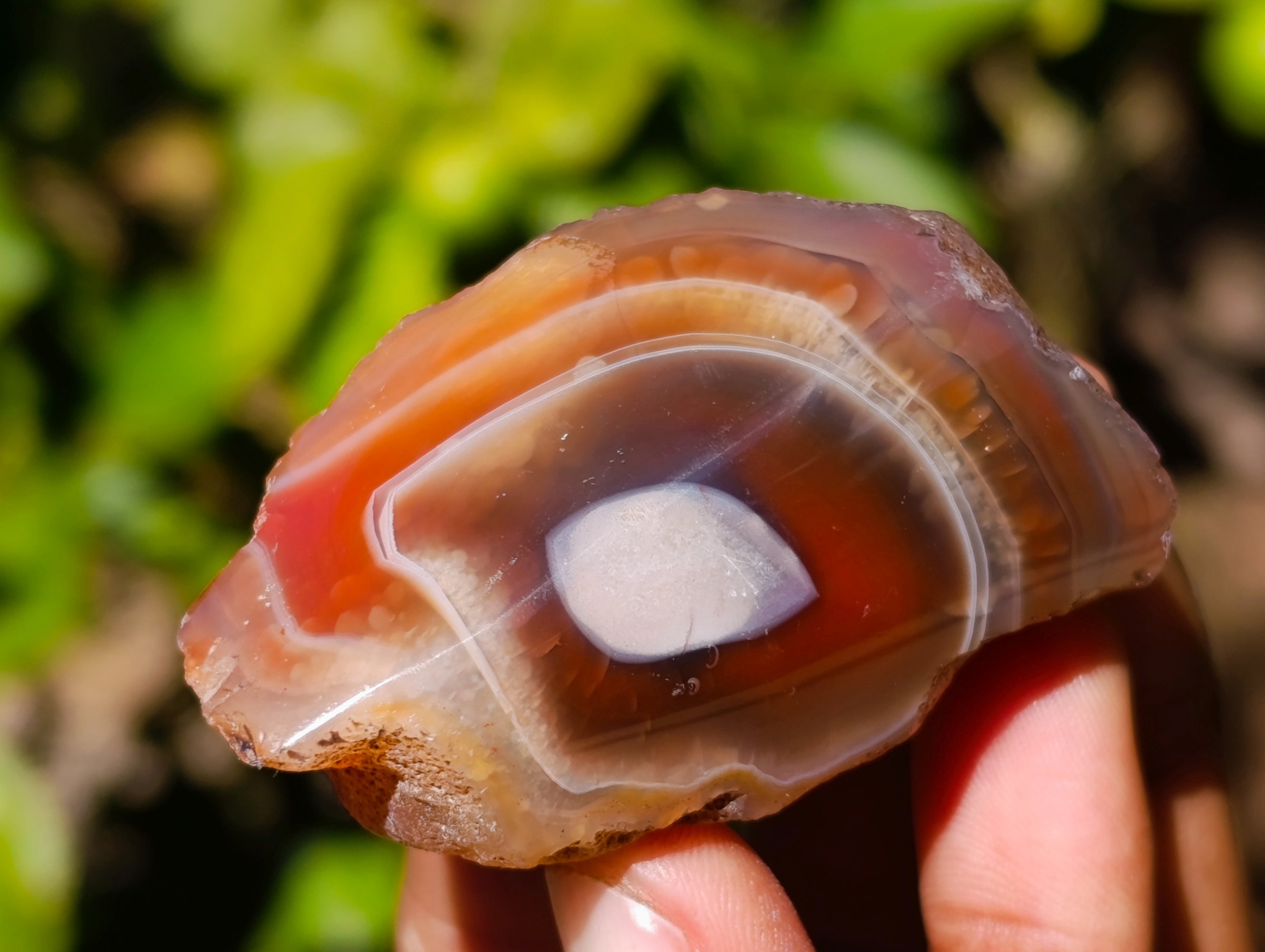 Polished On One Side Red Sashe River Agate Nodules x 20 From Zimbabwe - Toprock Gemstones and Minerals 