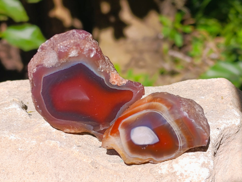 Polished On One Side Red Sashe River Agate Nodules x 20 From Zimbabwe - Toprock Gemstones and Minerals 