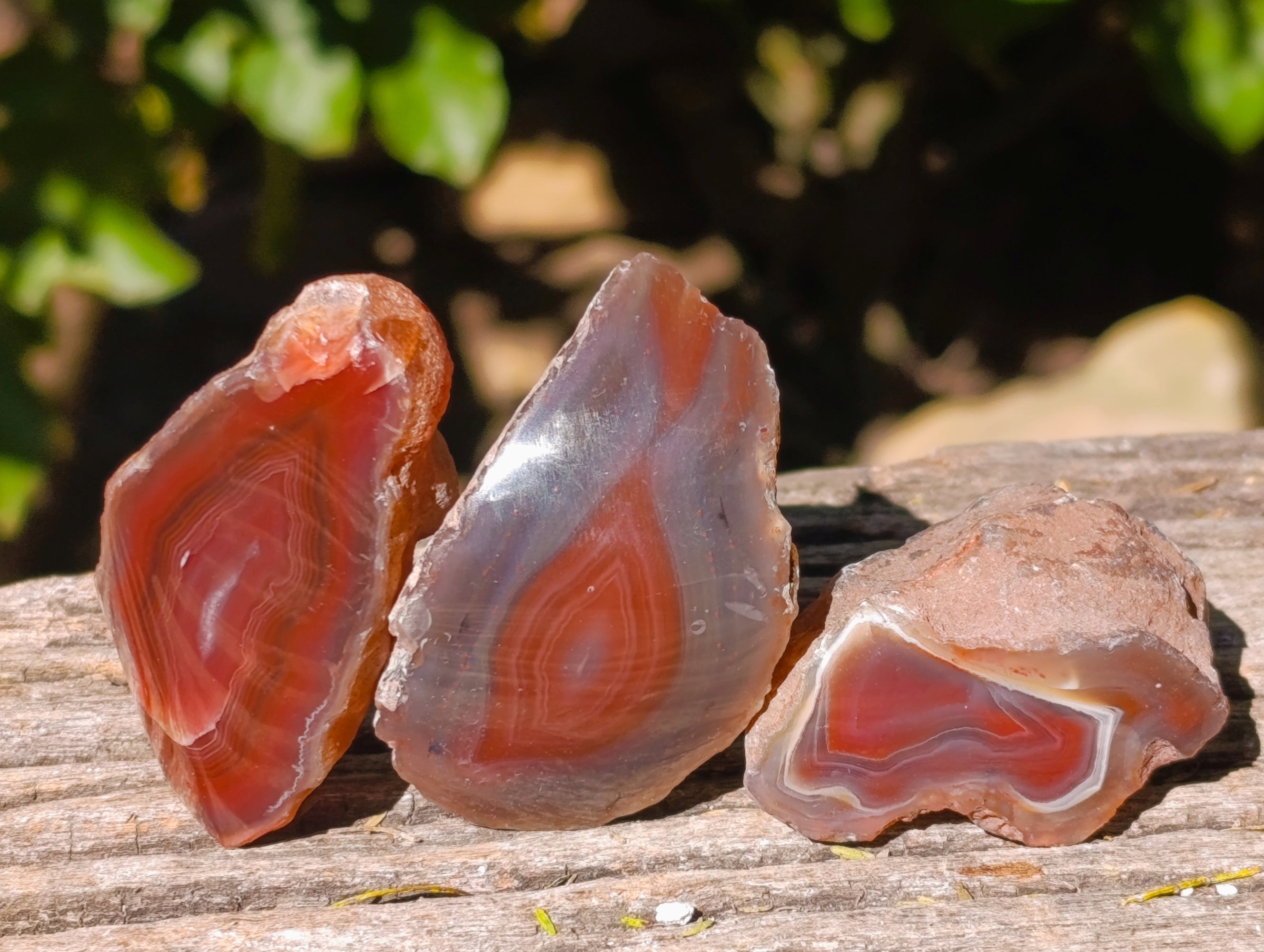 Polished On One Side Red Sashe River Agate Nodules x 20 From Zimbabwe - Toprock Gemstones and Minerals 