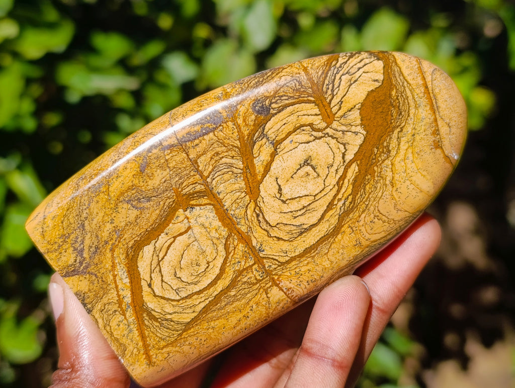 Polished Picture Stone Jasper Standing Free Forms x 2 From Ais-Ais, Namibia - Toprock Gemstones and Minerals 