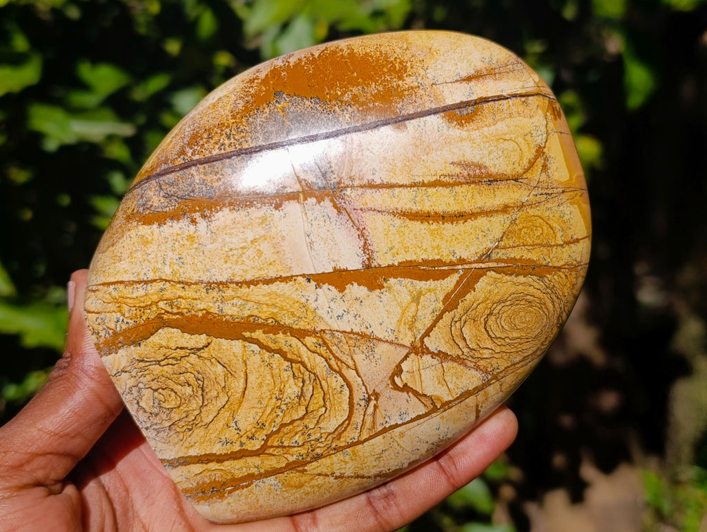 Polished Picture Stone Jasper Standing Free Forms x 2 From Ais-Ais, Namibia - Toprock Gemstones and Minerals 