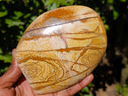 Polished Picture Stone Jasper Standing Free Forms x 2 From Ais-Ais, Namibia - Toprock Gemstones and Minerals 