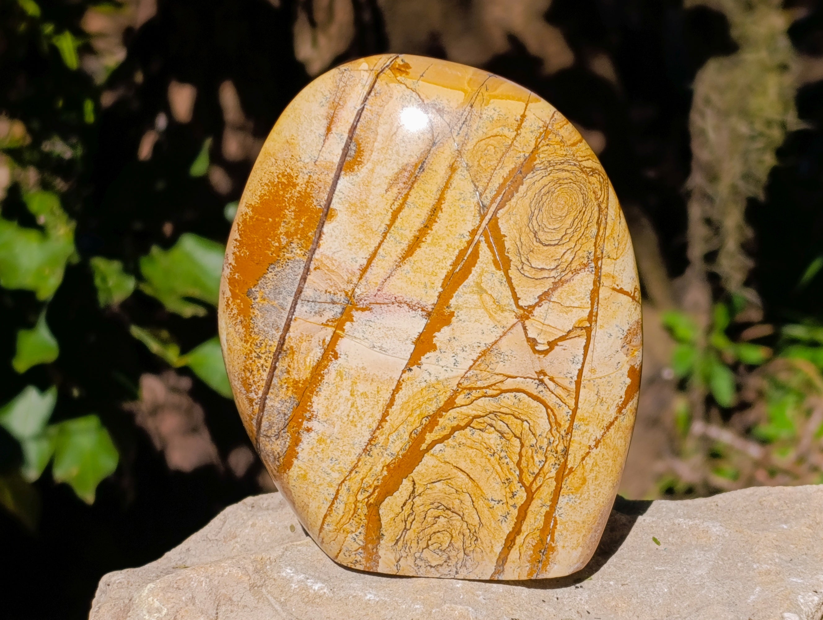 Polished Picture Stone Jasper Standing Free Forms x 2 From Ais-Ais, Namibia - Toprock Gemstones and Minerals 