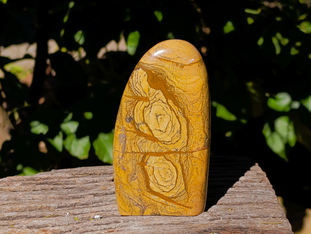 Polished Picture Stone Jasper Standing Free Forms x 2 From Ais-Ais, Namibia - Toprock Gemstones and Minerals 