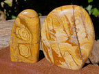 Polished Picture Stone Jasper Standing Free Forms x 2 From Ais-Ais, Namibia - Toprock Gemstones and Minerals 