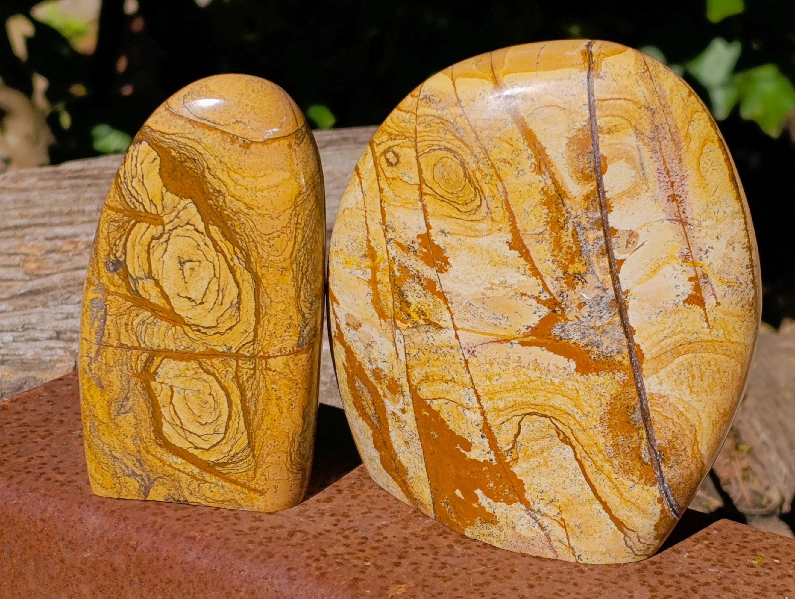 Polished Picture Stone Jasper Standing Free Forms x 2 From Ais-Ais, Namibia - Toprock Gemstones and Minerals 