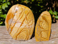 Polished Picture Stone Jasper Standing Free Forms x 2 From Ais-Ais, Namibia - Toprock Gemstones and Minerals 