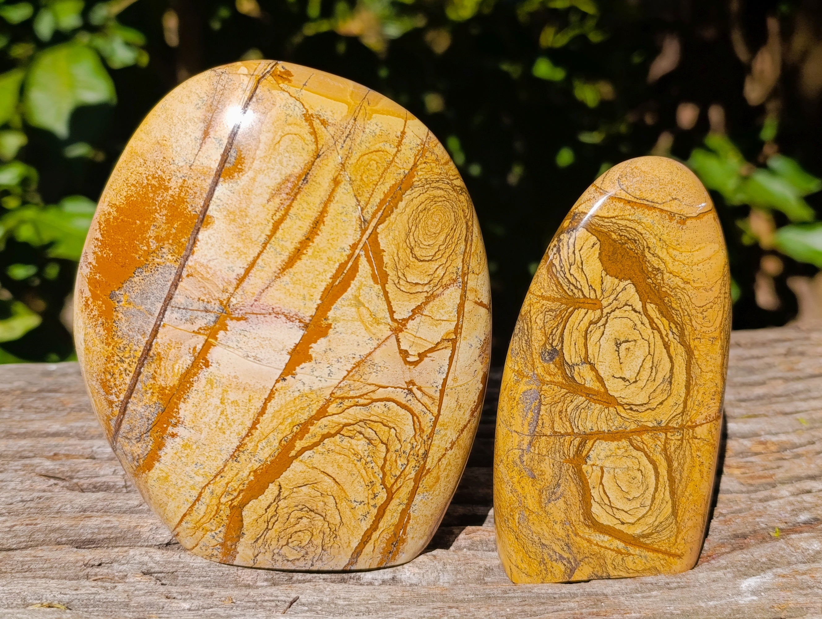 Polished Picture Stone Jasper Standing Free Forms x 2 From Ais-Ais, Namibia - Toprock Gemstones and Minerals 