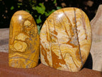 Polished Picture Stone Jasper Standing Free Forms x 2 From Ais-Ais, Namibia - Toprock Gemstones and Minerals 