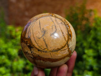 Polished Picture Stone Jasper Spheres x 3 From Ais-Ais, Namibia - Toprock Gemstones and Minerals 