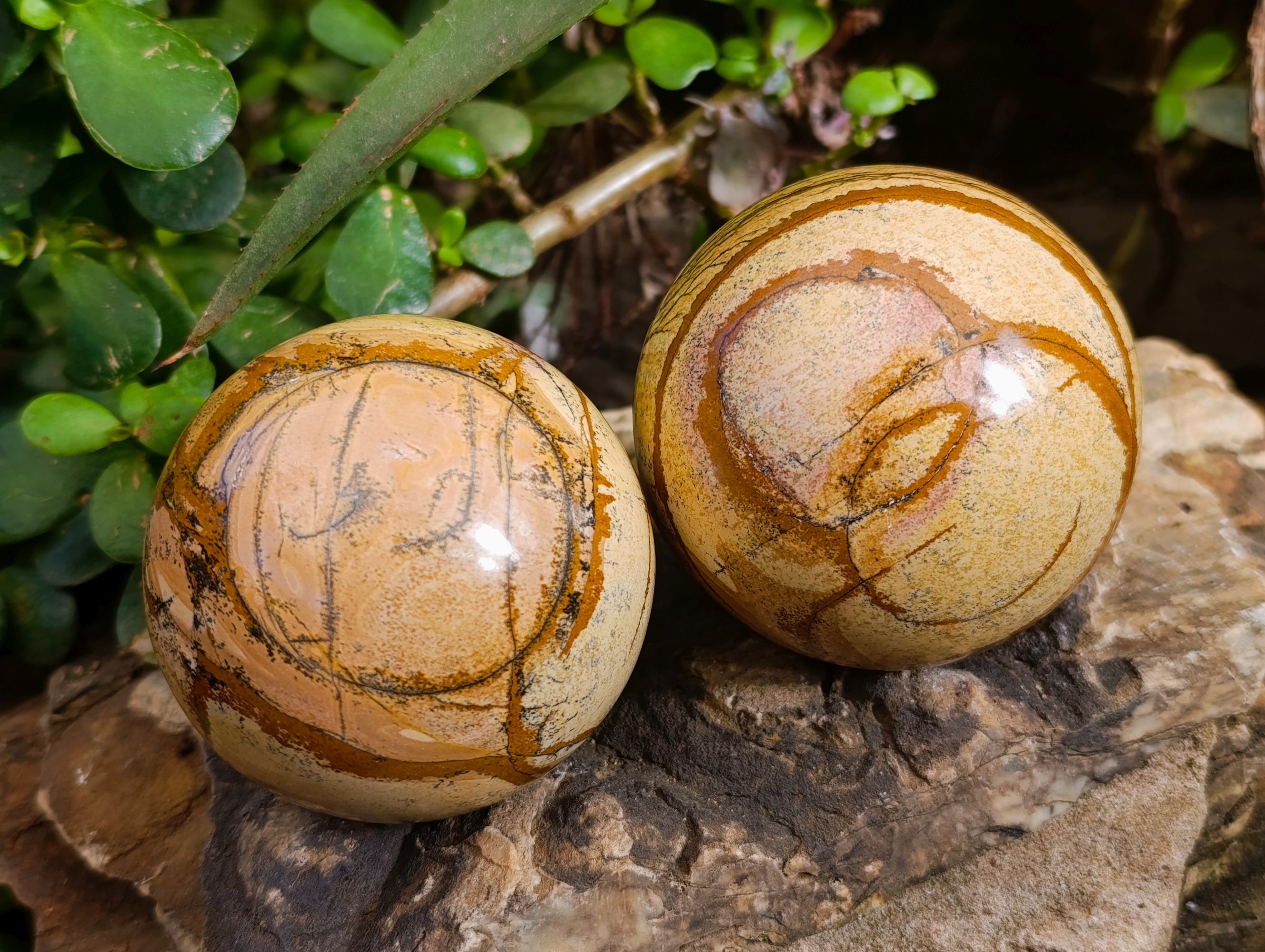 Polished Picture Stone Jasper Spheres x 3 From Ais-Ais, Namibia - Toprock Gemstones and Minerals 