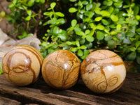 Polished Picture Stone Jasper Spheres x 3 From Ais-Ais, Namibia - Toprock Gemstones and Minerals 