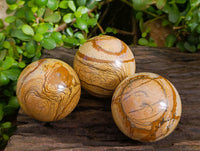 Polished Picture Stone Jasper Spheres x 3 From Ais-Ais, Namibia - Toprock Gemstones and Minerals 