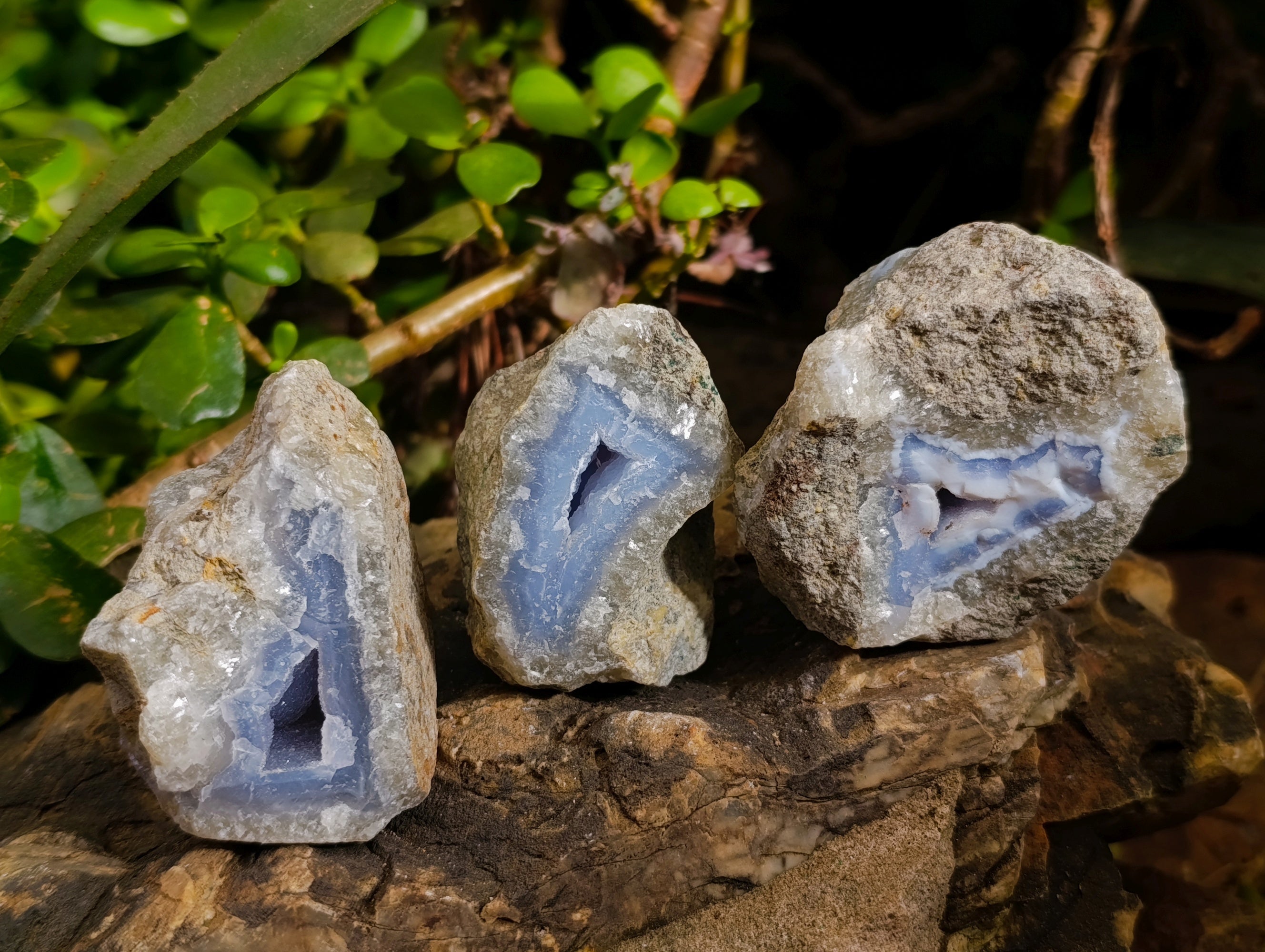 Natural Blue Lace Agate Geodes x 24 From Nsanje, Malawi - Toprock Gemstones and Minerals 
