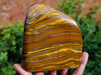 Polished Golden River Tigers Eye Standing Free Forms x 2 From Prieska, South Africa - Toprock Gemstones and Minerals 