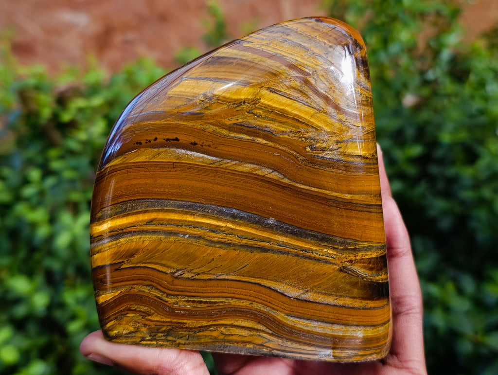Polished Golden River Tigers Eye Standing Free Forms x 2 From Prieska, South Africa - Toprock Gemstones and Minerals 