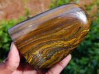 Polished Golden River Tigers Eye Standing Free Forms x 2 From Prieska, South Africa - Toprock Gemstones and Minerals 