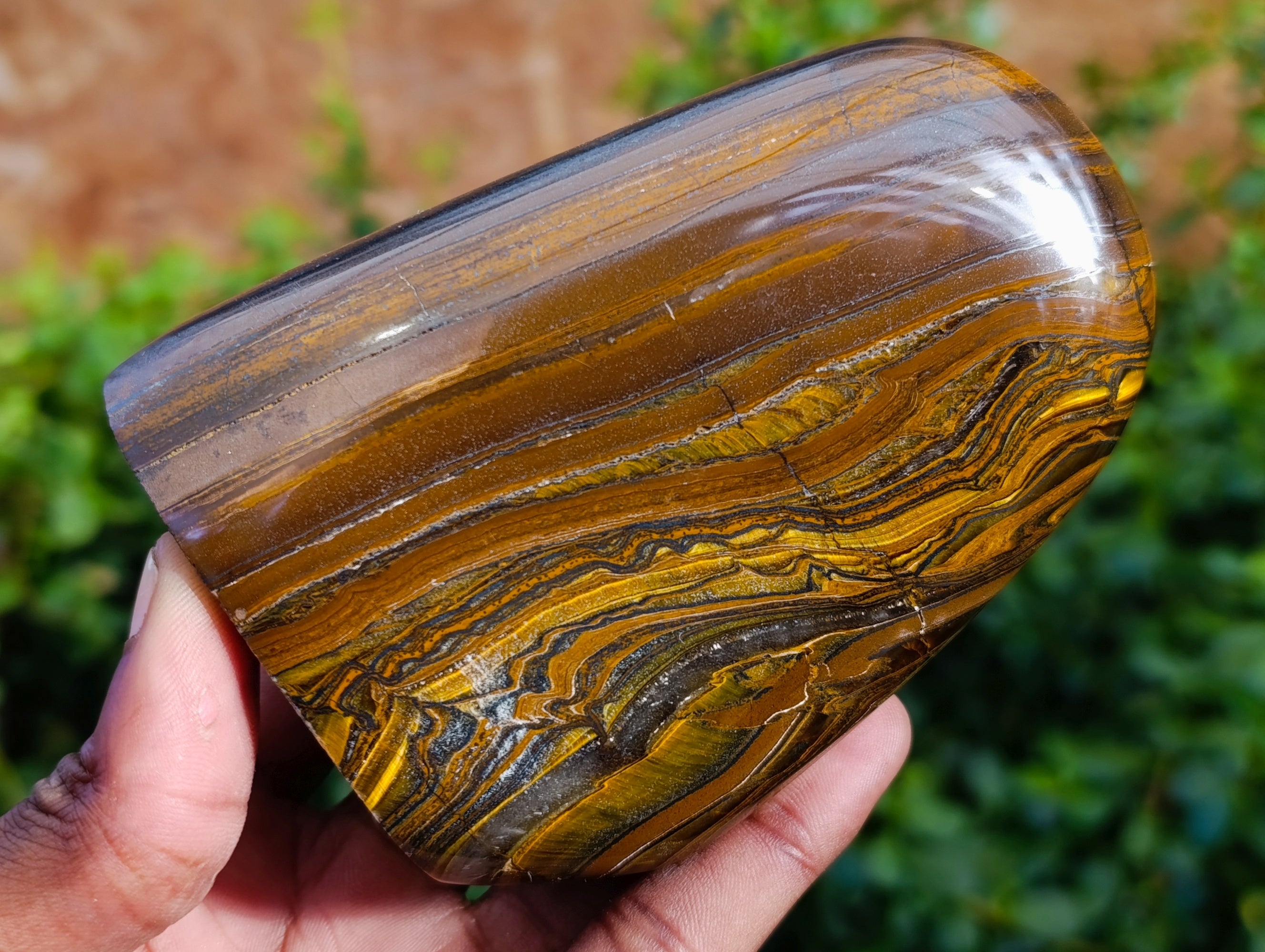 Polished Golden River Tigers Eye Standing Free Forms x 2 From Prieska, South Africa - Toprock Gemstones and Minerals 