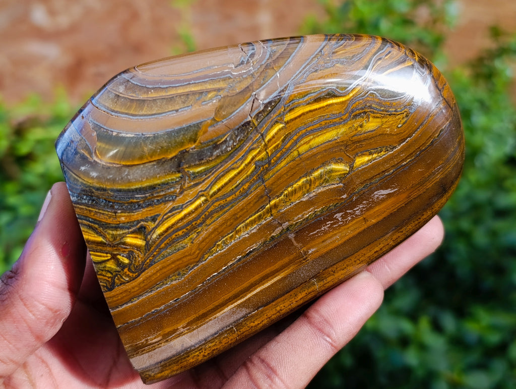 Polished Golden River Tigers Eye Standing Free Forms x 2 From Prieska, South Africa - Toprock Gemstones and Minerals 