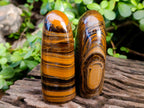 Polished Golden River Tigers Eye Standing Free Forms x 2 From Prieska, South Africa - Toprock Gemstones and Minerals 