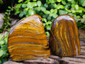 Polished Golden River Tigers Eye Standing Free Forms x 2 From Prieska, South Africa - Toprock Gemstones and Minerals 