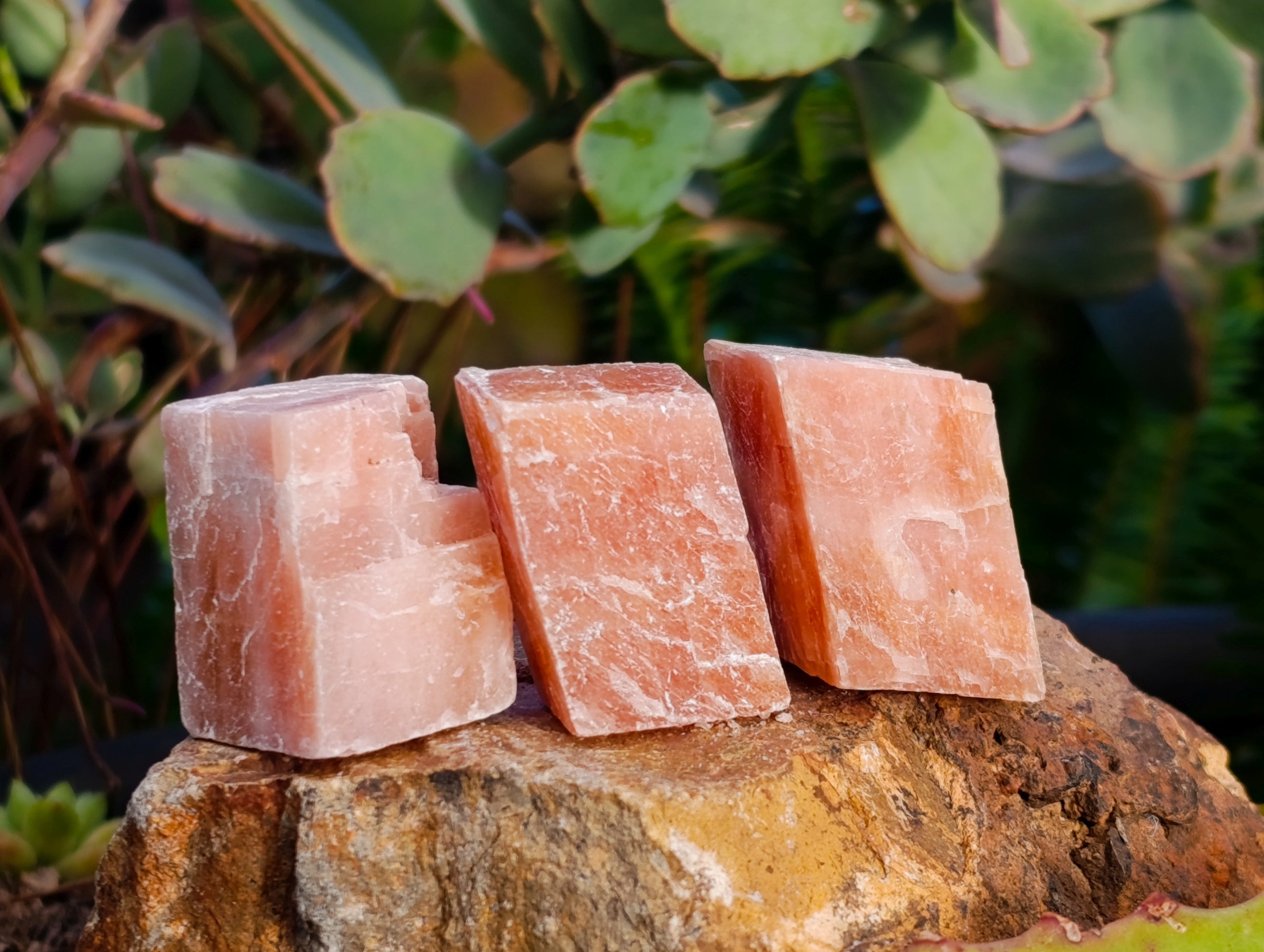 Natural Rhombohedral Sunset Orange Calcite Specimens x 34 From Spitzkop, Namibia - Toprock Gemstones and Minerals 
