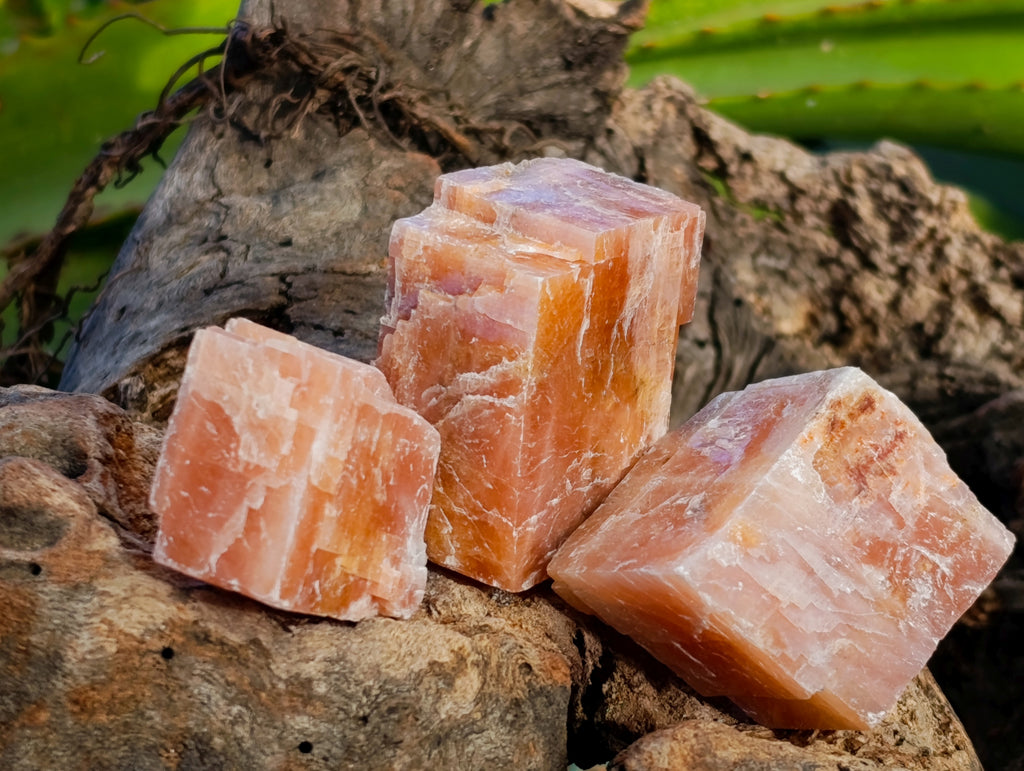 Natural Rhombohedral Sunset Orange Calcite Specimens x 34 From Spitzkop, Namibia - Toprock Gemstones and Minerals 