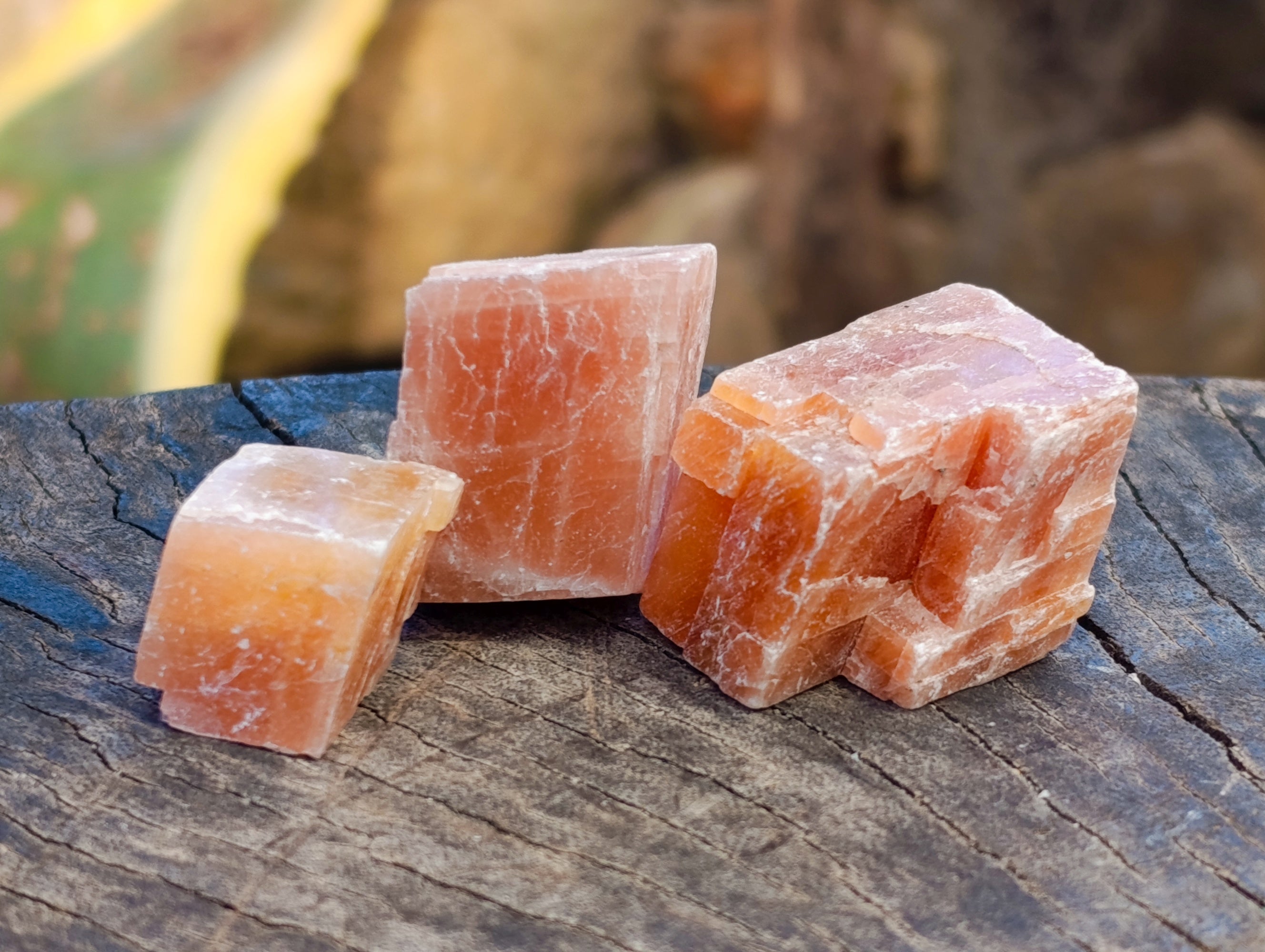 Natural Rhombohedral Sunset Orange Calcite Specimens x 34 From Spitzkop, Namibia - Toprock Gemstones and Minerals 
