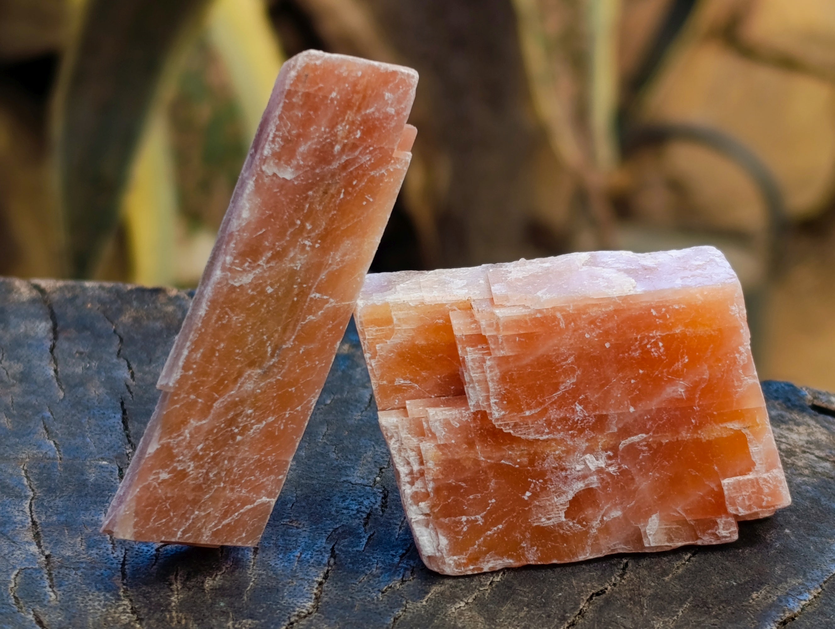 Natural Rhombohedral Sunset Orange Calcite Specimens x 34 From Spitzkop, Namibia - Toprock Gemstones and Minerals 