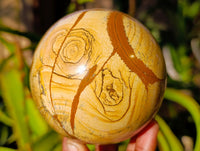 Polished Picture Stone Jasper Spheres x 2 From Ais-Ais, Namibia - Toprock Gemstones and Minerals 