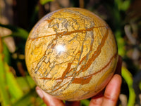 Polished Picture Stone Jasper Spheres x 2 From Ais-Ais, Namibia - Toprock Gemstones and Minerals 