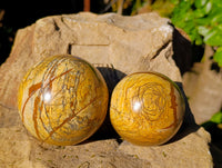 Polished Picture Stone Jasper Spheres x 2 From Ais-Ais, Namibia - Toprock Gemstones and Minerals 