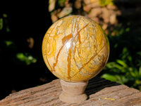 Polished Picture Stone Jasper Spheres x 2 From Ais-Ais, Namibia - Toprock Gemstones and Minerals 