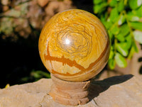 Polished Picture Stone Jasper Spheres x 2 From Ais-Ais, Namibia - Toprock Gemstones and Minerals 
