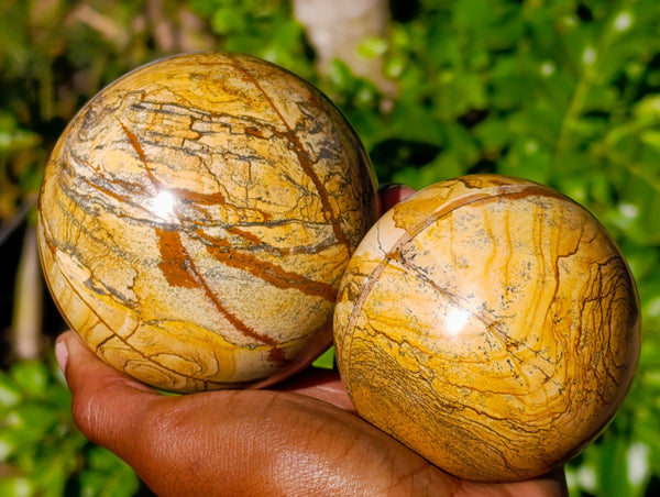 Polished Picture Stone Jasper Spheres x 2 From Ais-Ais, Namibia