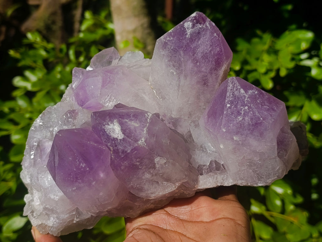 Natural Jacaranda Amethyst Quartz Cluster x 2 From Mumbwa, Zambia - Toprock Gemstones and Minerals 