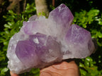 Natural Jacaranda Amethyst Quartz Cluster x 2 From Mumbwa, Zambia - Toprock Gemstones and Minerals 