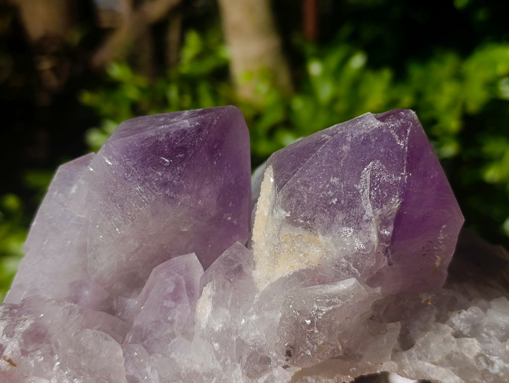 Natural Jacaranda Amethyst Quartz Cluster x 2 From Mumbwa, Zambia - Toprock Gemstones and Minerals 