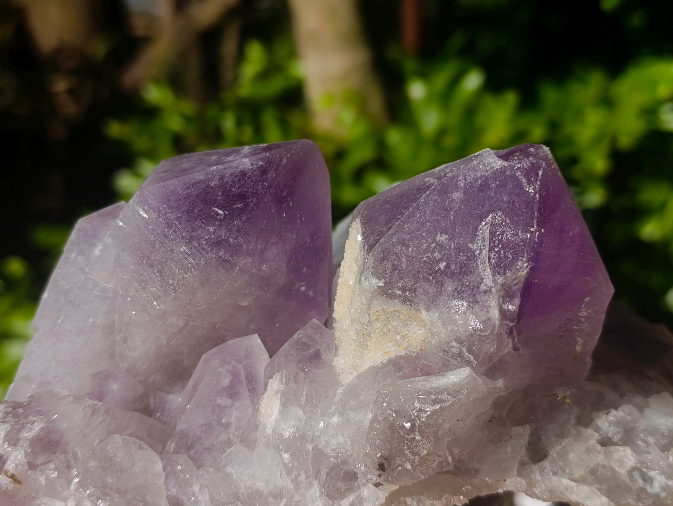 Natural Jacaranda Amethyst Quartz Cluster x 2 From Mumbwa, Zambia - Toprock Gemstones and Minerals 