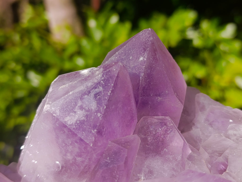 Natural Jacaranda Amethyst Quartz Cluster x 2 From Mumbwa, Zambia - Toprock Gemstones and Minerals 