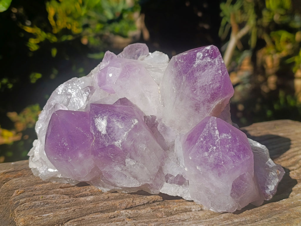 Natural Jacaranda Amethyst Quartz Cluster x 2 From Mumbwa, Zambia - Toprock Gemstones and Minerals 