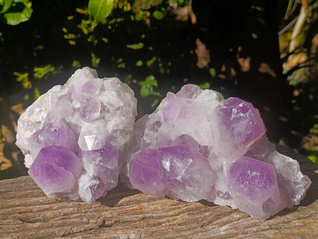 Natural Jacaranda Amethyst Quartz Cluster x 2 From Mumbwa, Zambia - Toprock Gemstones and Minerals 