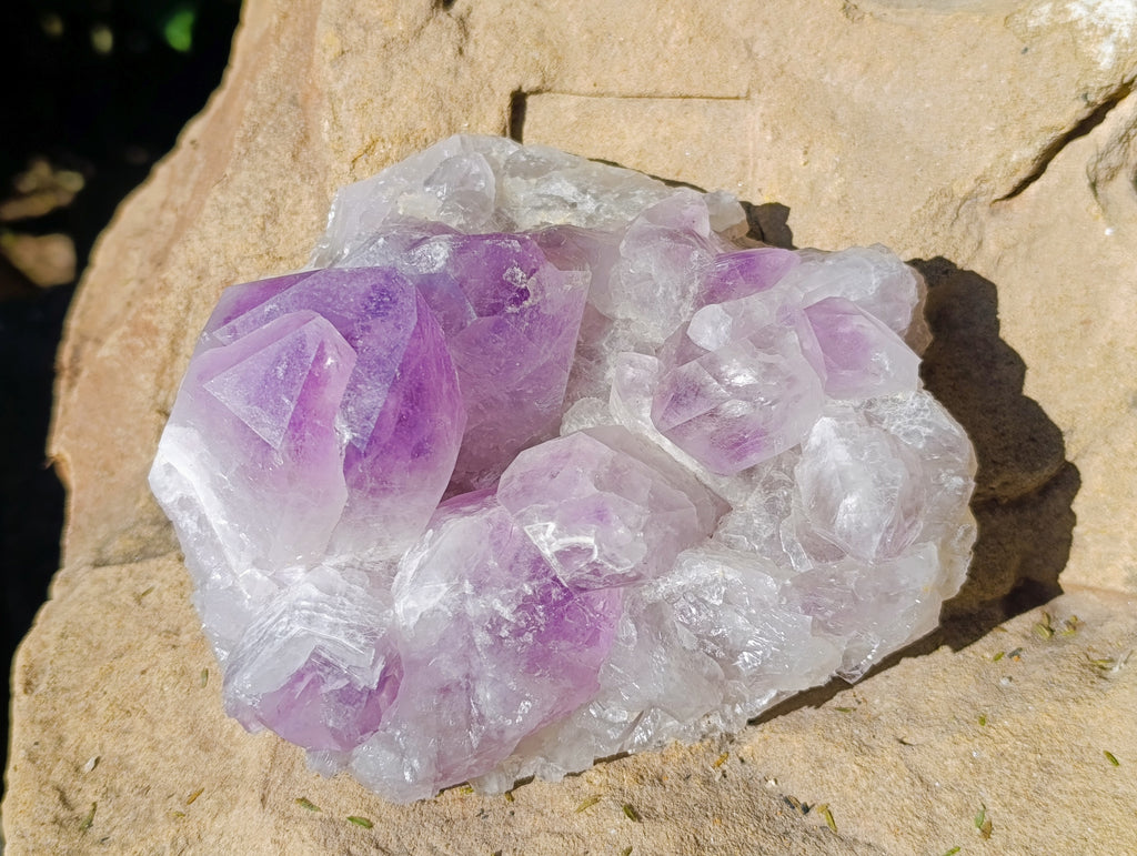 Natural Jacaranda Amethyst Quartz Cluster x 2 From Mumbwa, Zambia - Toprock Gemstones and Minerals 